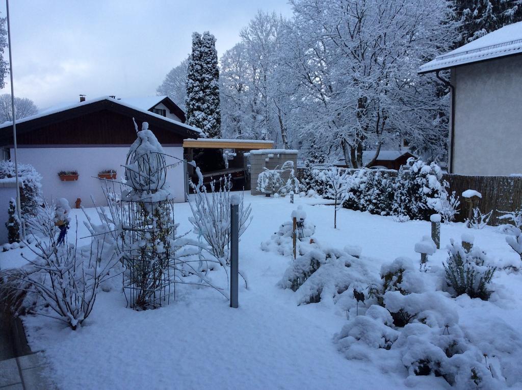 Lavendel 3* Oberaudorf